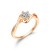 Rose Gold 01
