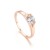 Rose Gold 02